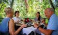 Cape Tribulation, Daintree &amp; Mossman Gorge Thumbnail 5