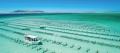 Coffin Bay Day Tour from Port Lincoln including Wine Tasting and Gourmet Lunch Thumbnail 1