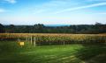 Mornington Peninsula Winery Bus Tour including Lunch and Glass of Wine Thumbnail 6