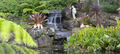 Maleny Botanic Gardens Aviary Tour Thumbnail 6