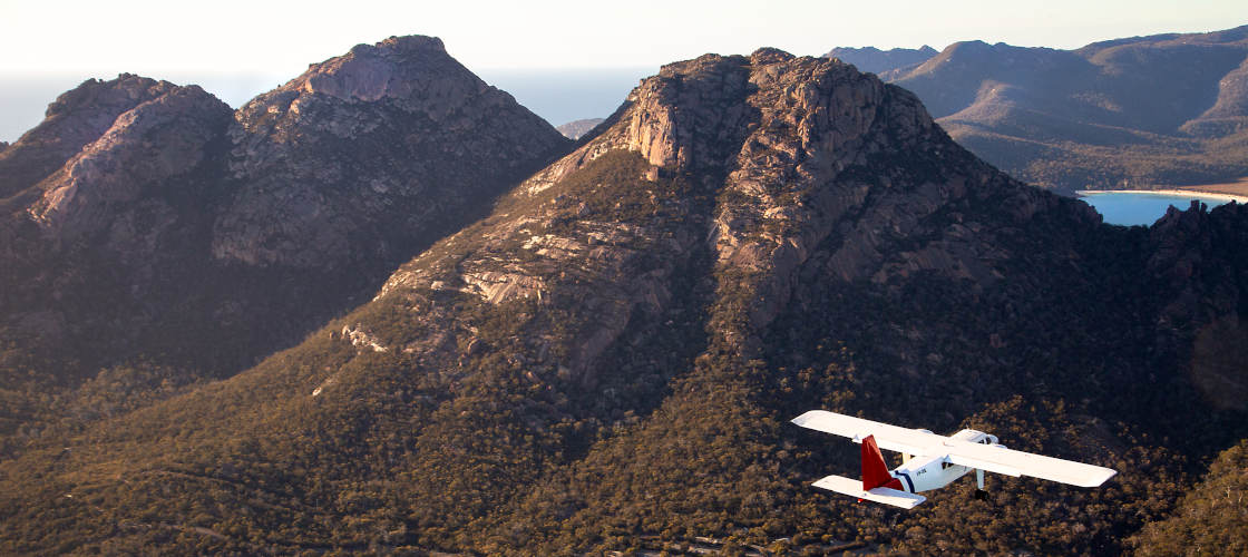 par avion tasmania wineglass wildlife tour