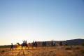 Alice Springs Sunset Camel Ride Thumbnail 1