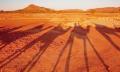 Alice Springs Sunset Camel Ride Thumbnail 4