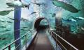 LEGOLAND Discovery Centre + SEA LIFE Melbourne Aquarium Combo Thumbnail 6