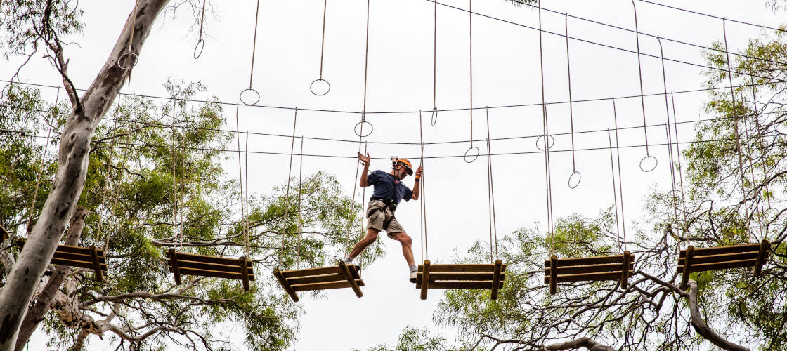 Treeclimb Adelaide Book Now Experience Oz