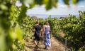 Mornington and Bellarine Peninsula&#39;s Food and Wine Tour including Winery Lunch Thumbnail 1