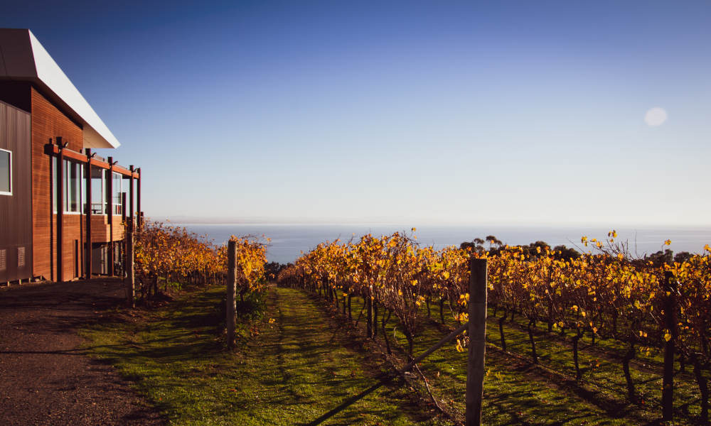 Melbourne Winery Tour