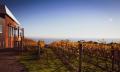 Mornington and Bellarine Peninsula&#39;s Food and Wine Tour including Winery Lunch Thumbnail 3
