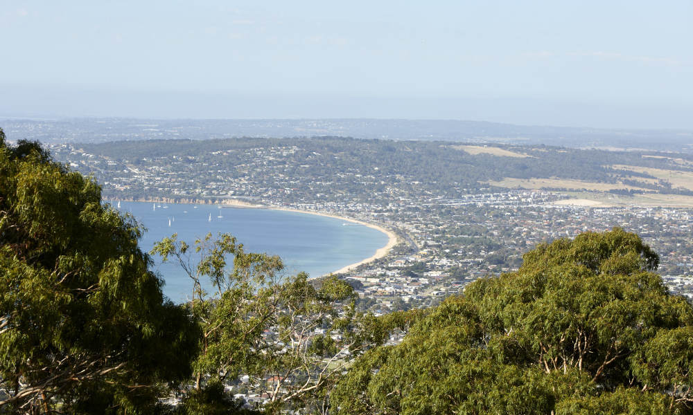views from Murray Lookout 