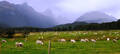 Half Day Scenic Glenorchy and Lord of the Rings Tour Thumbnail 4