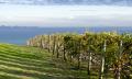 Bellarine Peninsula Food and Wine Tour including Winery Lunch Thumbnail 4