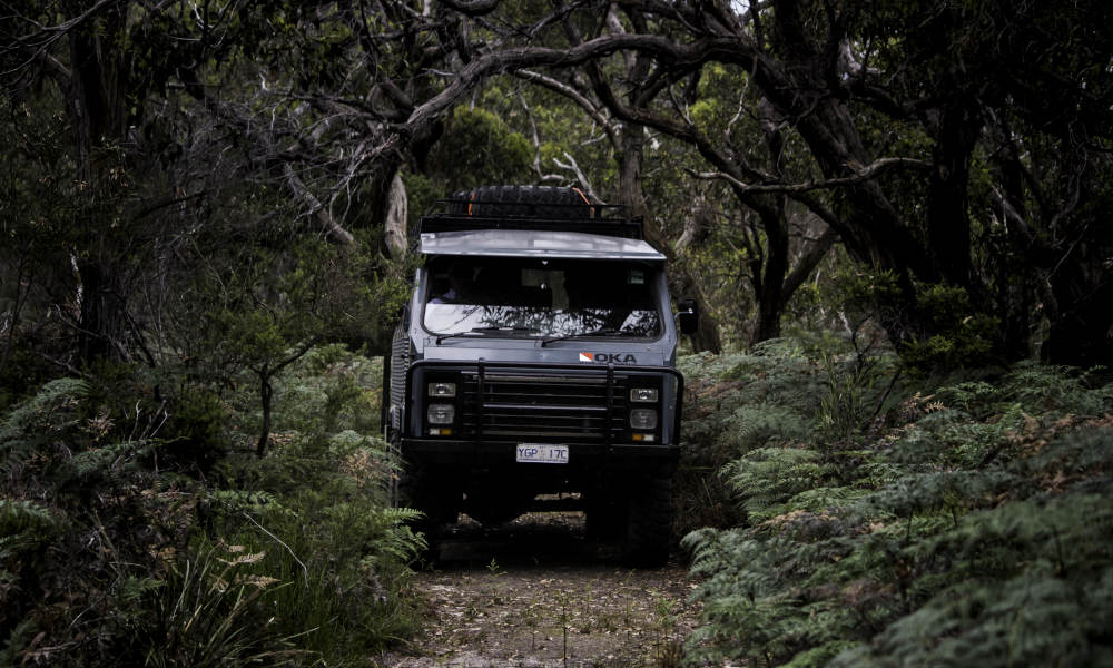 French Island 4WD Tour