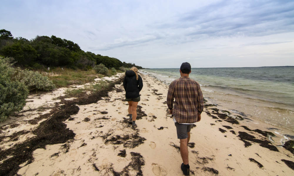 French and Phillip Island Tour