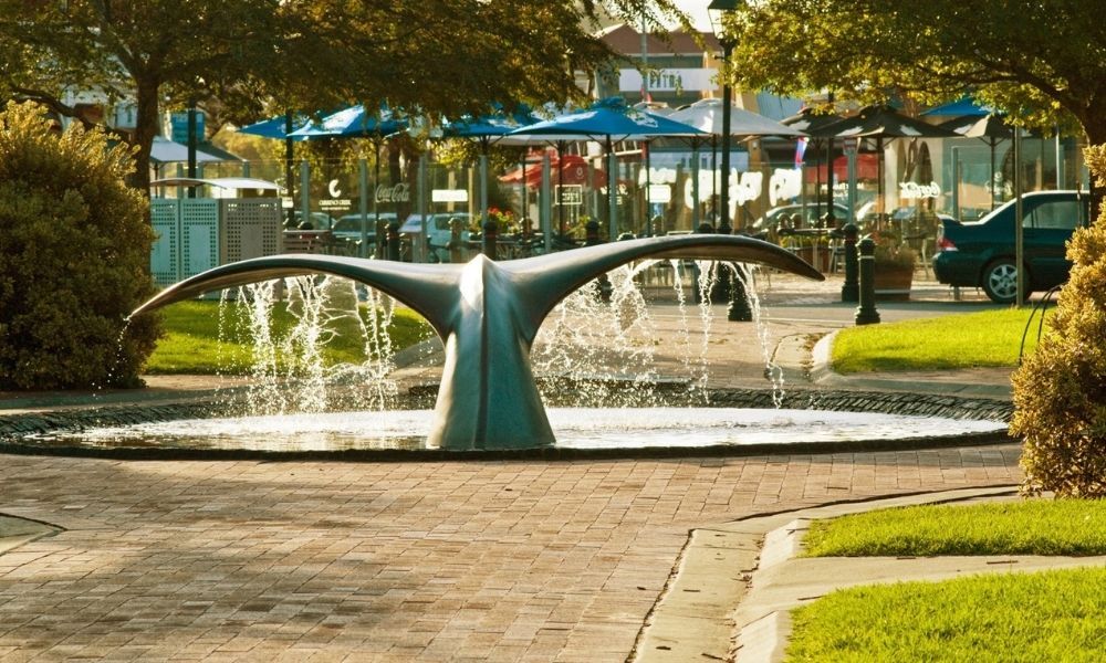 whale tail water features splashes water in Victor Harbor 