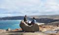 Kangaroo Island Full Day Tour from Adelaide including Lunch Thumbnail 1