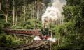 Puffing Billy Belgrave to Lakeside Return Tickets Thumbnail 3