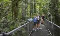 Daintree Discovery Centre Entry Thumbnail 6