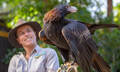 Currumbin Wildlife Sanctuary Annual Pass Thumbnail 1