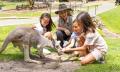 Currumbin Wildlife Sanctuary Annual Pass Thumbnail 3