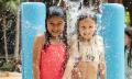 Currumbin Wildlife Sanctuary Annual Pass Thumbnail 5