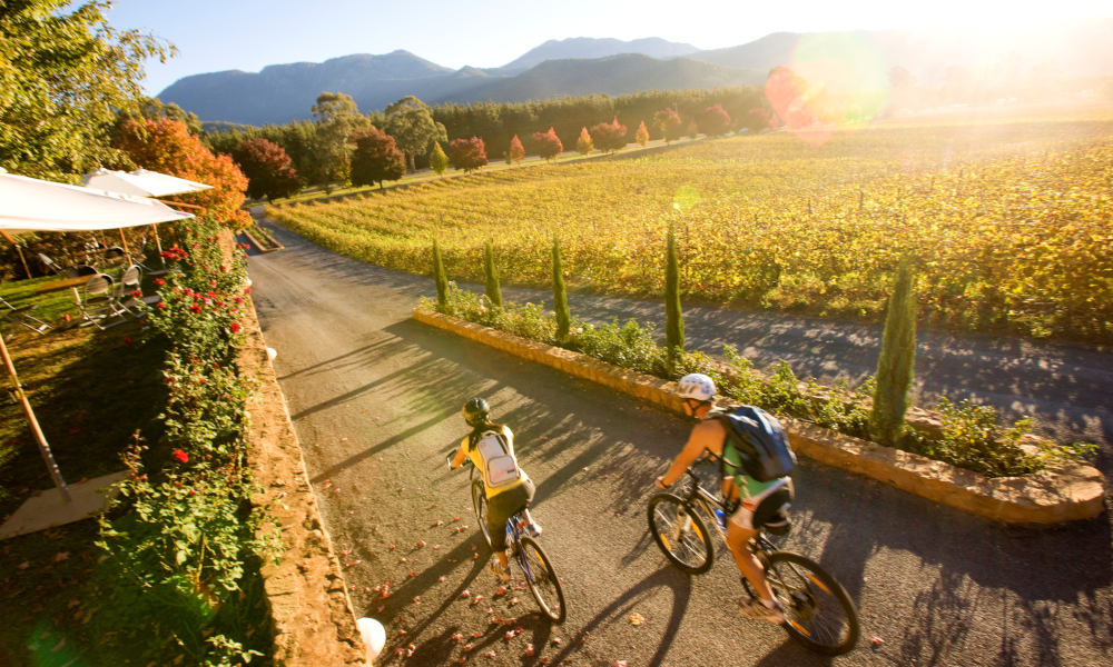 Pedal and Picnic