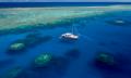 Full Day Great Barrier Reef Tour with Dive Thumbnail 4