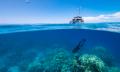Full Day Great Barrier Reef Tour with Dive Thumbnail 6