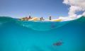 Byron Bay Dolphin Kayaking Tour Thumbnail 1