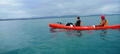 Byron Bay Dolphin Kayaking Tour Thumbnail 6