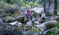 Full Day Cultural Experience Of The Port Douglas Daintree Region Thumbnail 1