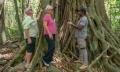 Half Day Morning Sightseeing Experience Of The Port Douglas Daintree Region Thumbnail 2
