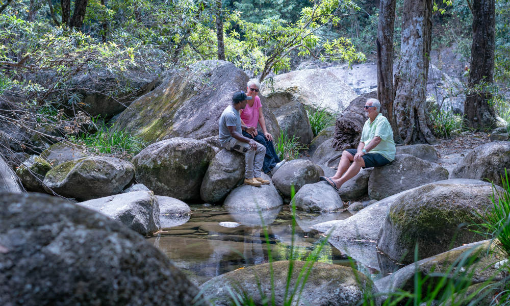 Walkabout Cultural Adventures mossman gorge