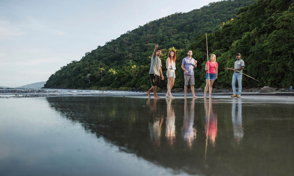 Guided Daintree rainforest walk