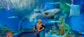 Cairns Aquarium by Twilight - Tour Thumbnail 4