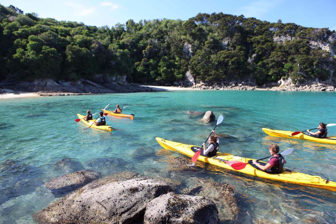 morning kayaks