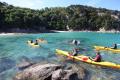 Southern Blend Kayak and Walk Afternoon Tour Thumbnail 4