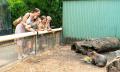 Featherdale Wildlife Park Entry Tickets Thumbnail 6
