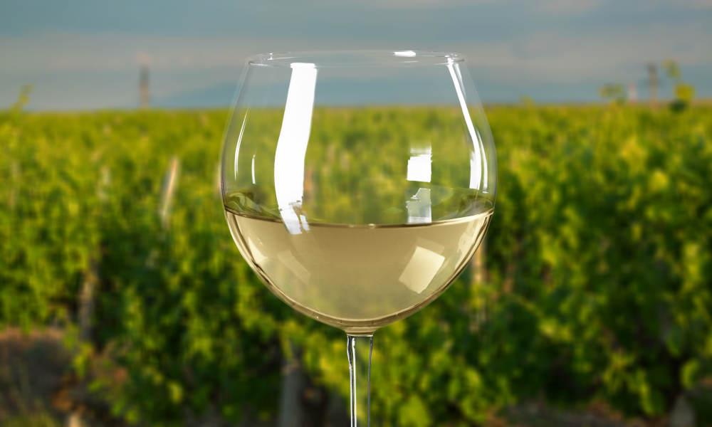 yarra valley winery tour wine glass vineyard