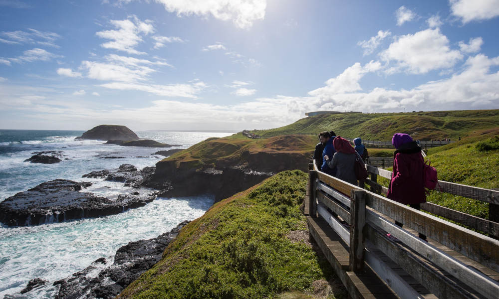 phillip island nobbies seal rock