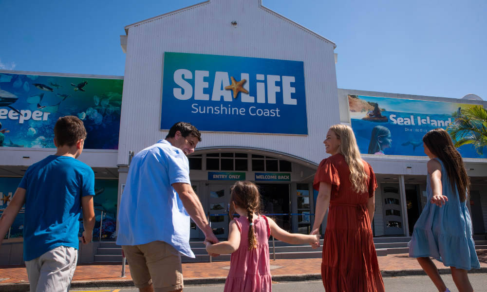 SEA LIFE Sunshine Coast Entry for RACQ Members
