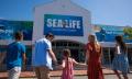SEA LIFE Sunshine Coast Entry for RACQ Members Thumbnail 1