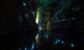Rotorua: Big Kanu Starlight Glow Worm Tour Thumbnail 2