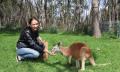 Cleland Wildlife Park Tour from Adelaide Thumbnail 1