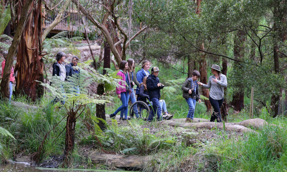 wildlife group enjoying the tour