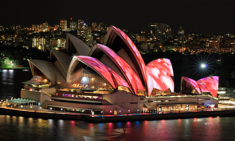 Vivid Sydney Harbour Dinner Cruise