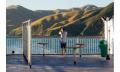 Interislander crossing between New Zealand&#39;s North and South Islands - VEHICLES Thumbnail 1