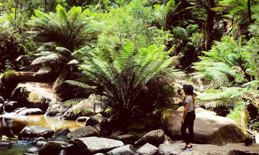girl and large palm
