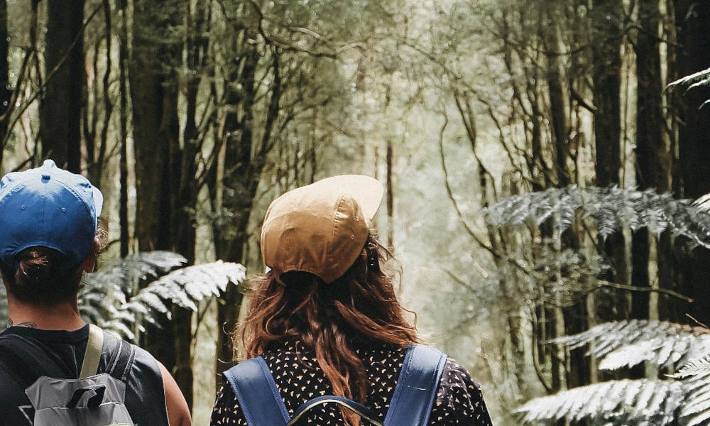 hiking through the forest