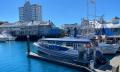 Mooloolaba 2 Hour Whale Watching Experience Thumbnail 2