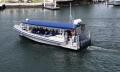 Mooloolaba 2 Hour Whale Watching Experience Thumbnail 4